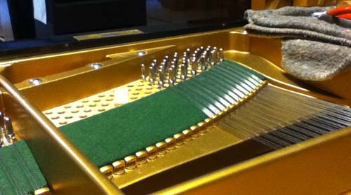 Van Dongen Piano Revisie