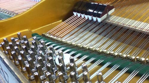 Van Dongen Piano Revisie