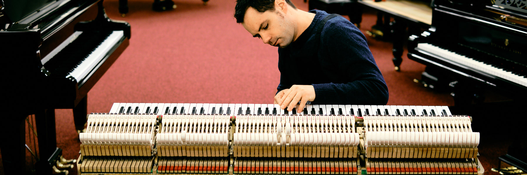 Van Dongen Piano's Pianostemmer 3 tim leguijt fotografie