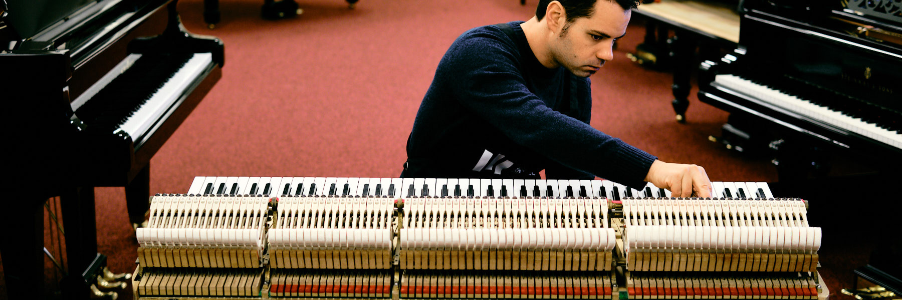 Van Dongen Piano's Pianostemmer 5 tim leguijt fotografie