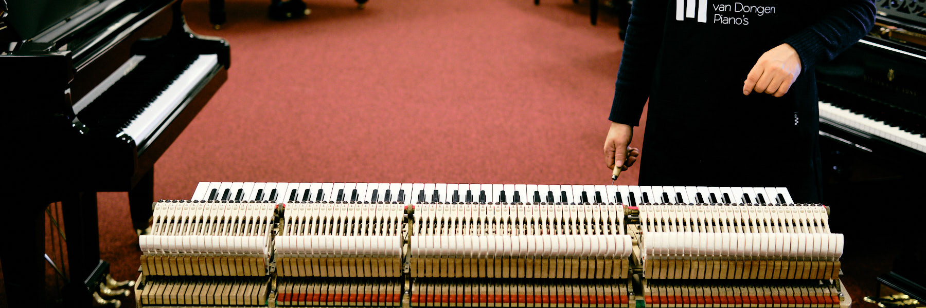Van Dongen Piano's Pianostemmer 1 tim leguijt fotografie