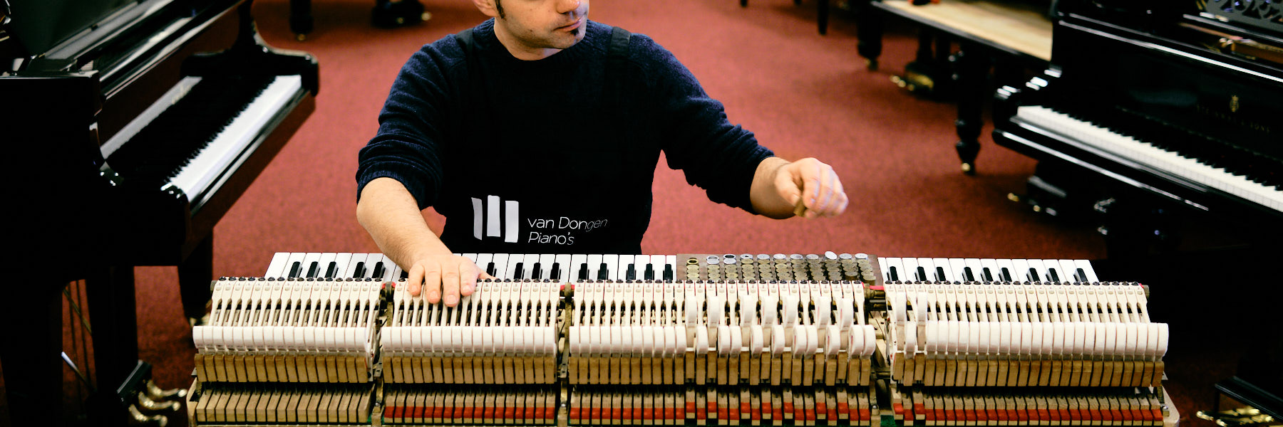 Van Dongen Piano's Pianostemmer 4 tim leguijt fotografie