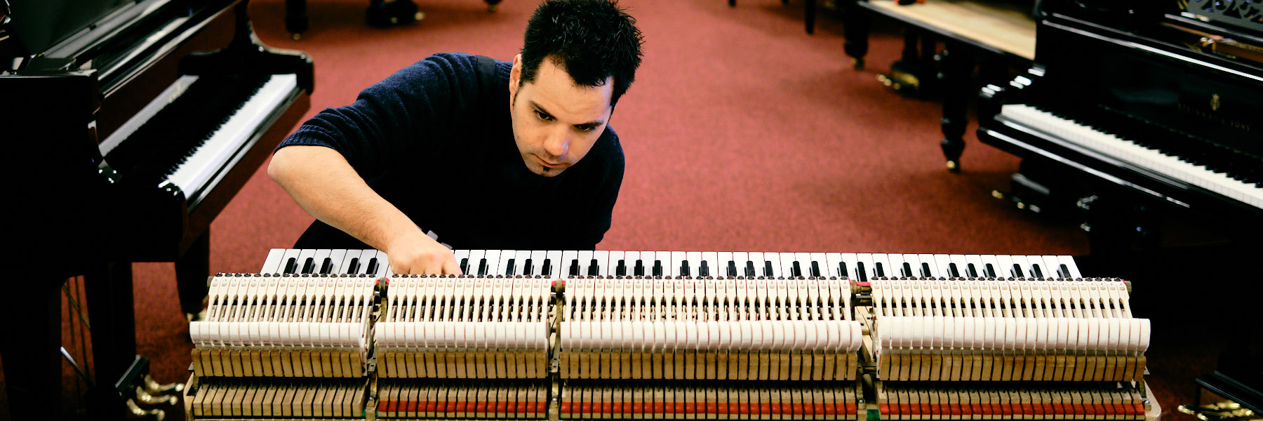 Van Dongen Piano's Pianostemmer 2 tim leguijt fotografie