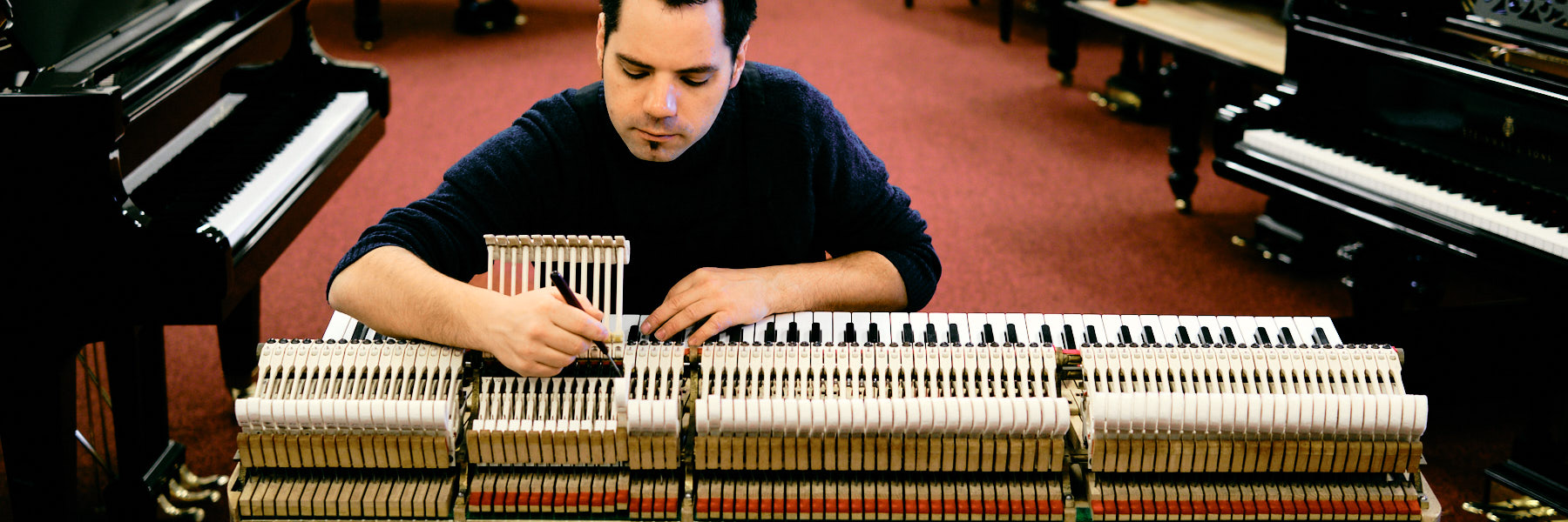 Van Dongen Piano's Pianostemmer 6 tim leguijt fotografie