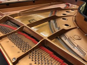 Besnaring vleugel of piano