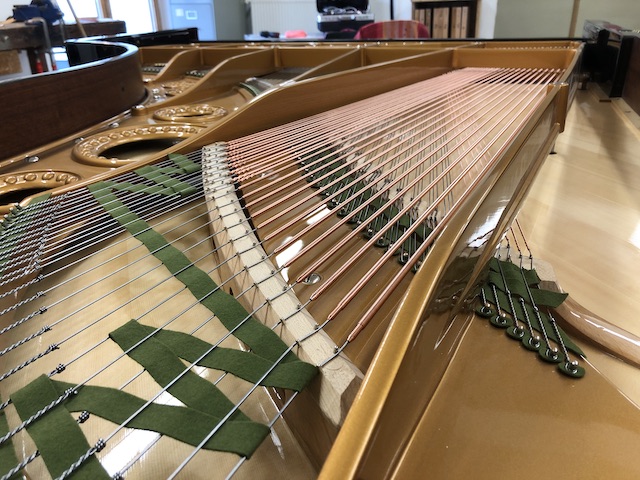 Bechstein basbesnaring