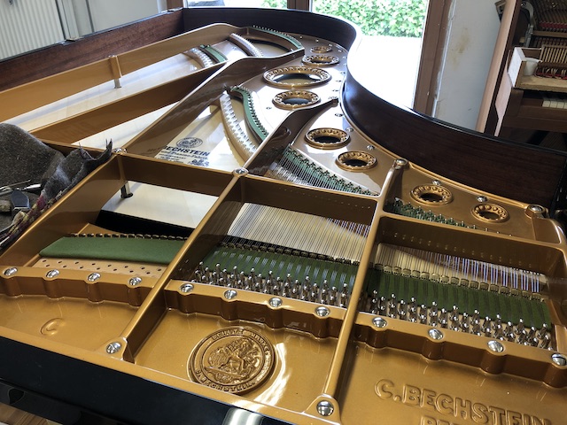 Bechstein snaren