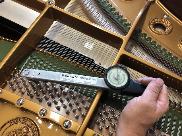 Bechstein besnaren