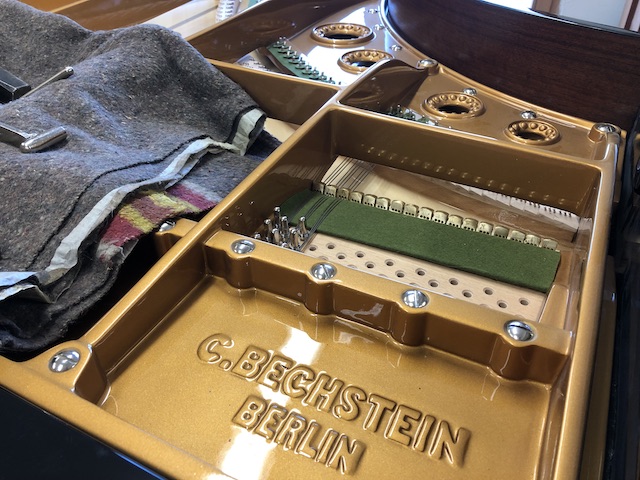 Bechstein besnaring