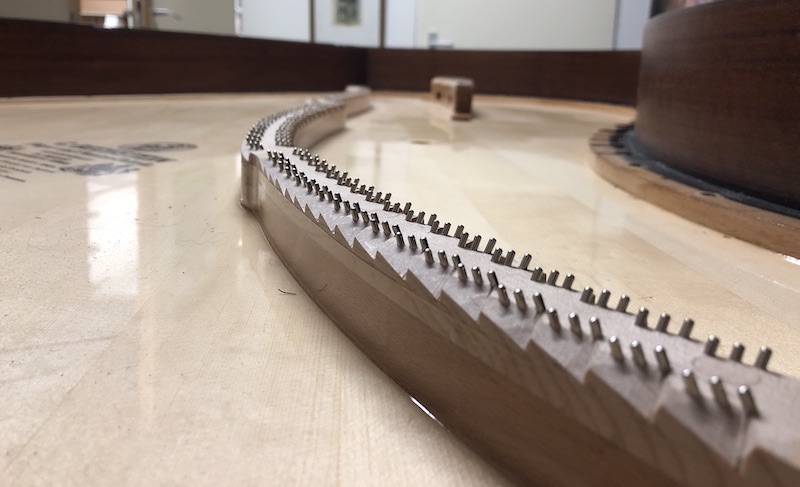 Bechstein zangbodem kamstiften